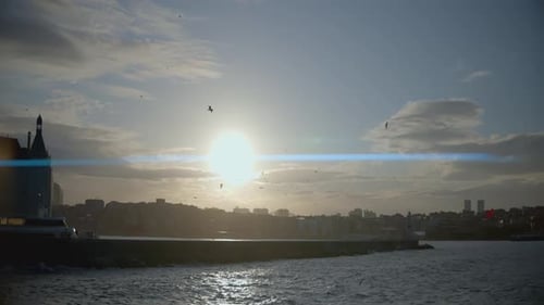 Beautiful Sunset on the Coast ACTION Seagulls Fly in the Blue Sky Beautiful Waves Crash on the Shore