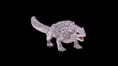 Spiny Lizard Startled