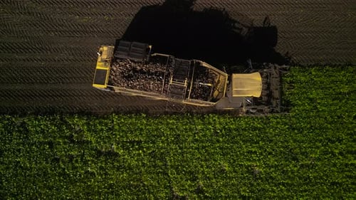 Combine harvesting sugar beet aerial view