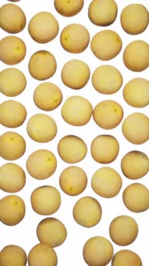 Melons tombant verticalement sur fond blanc