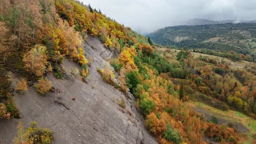 A Highangle View of a Mountain Slope with Colorful Autumn Foliage