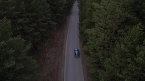 Blue Car Drives Through Forest