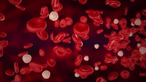 Células sanguíneas