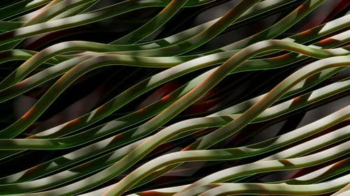 Dynamic Strips 3D Loop Animation