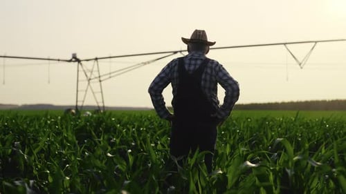 Successful Old Farmer Admiring Huge Agricultural Field and Irrigation Machinery Back View of Old