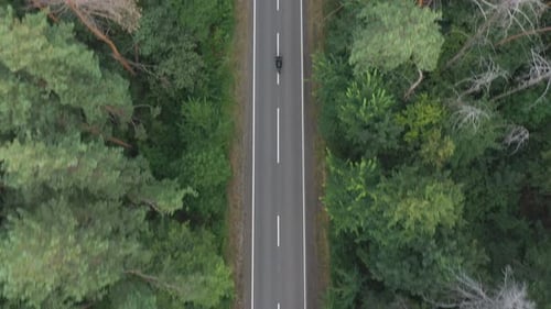 Man Riding on Motorbike Through Forest Road Motorcyclist Racing His Motorcycle on Country Route Guy