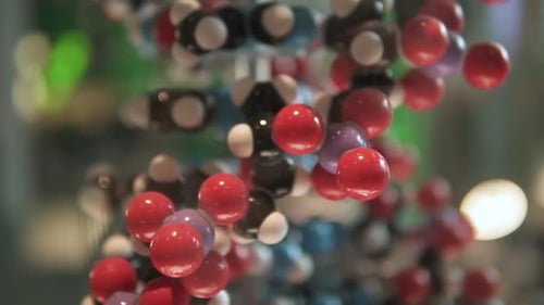 DNA chain structure model. Learning biology of the human genome