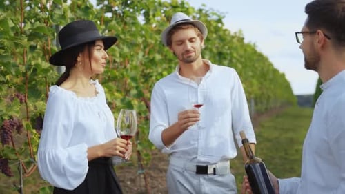 Indulge in an Elegant Wine Tasting Experience Amidst a Beautiful Vineyard Setting Today