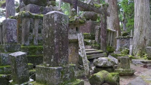 Famous Okunoin Temple at Koyasan in Japan with moss growth