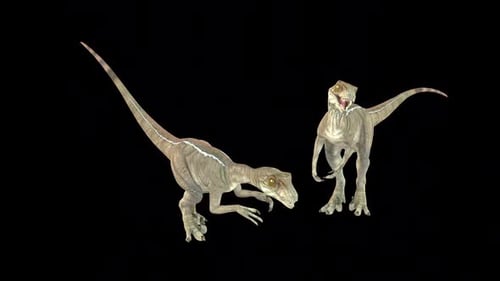 Two Velociraptor Eat Idle