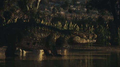 Crocodile se cache dans les eaux peu profondes près de la lisière de la forêt au crépuscule