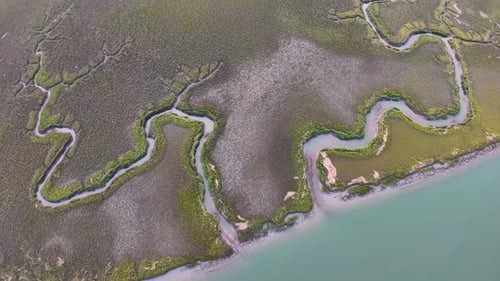 Meandering Tidal Creek from Aerial View