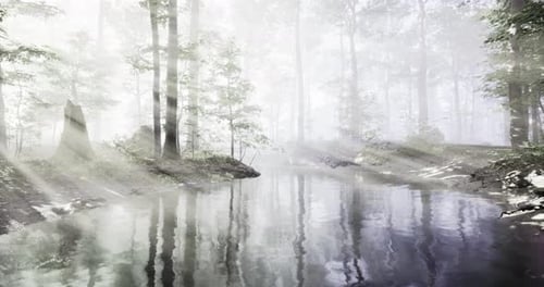 Misty Morning Light Dances on Peaceful Forest River Near Tranquil Trees
