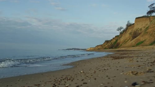 Serene beach and ocean view with coastal cliffs