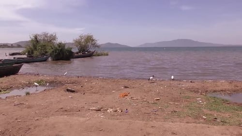 MAGNIFIQUE RIVE AU BORD D'UN LAC AU KENYA