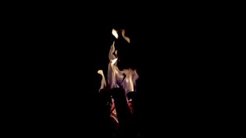 slow motion of flames from firewood