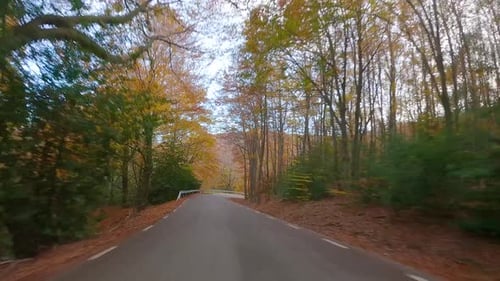 Driving, road skirting a forest Colorful autumn in the mountain forest ocher colors red oranges and