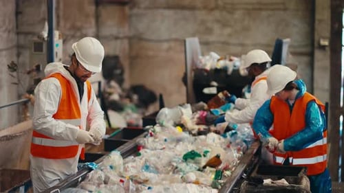 Workers Sort Plastic Bottles at Recycling Plant