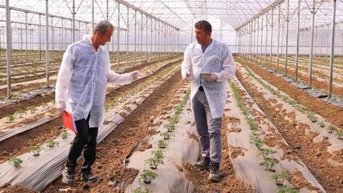 Botanical Engineers Do Research On Plants