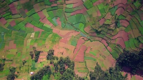 Bird's Eye View Of Agricultural Fields In Uganda, East Africa.