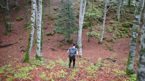 Caucasian Man Walking Down a Hill Full of Fallen Leaves and Trees