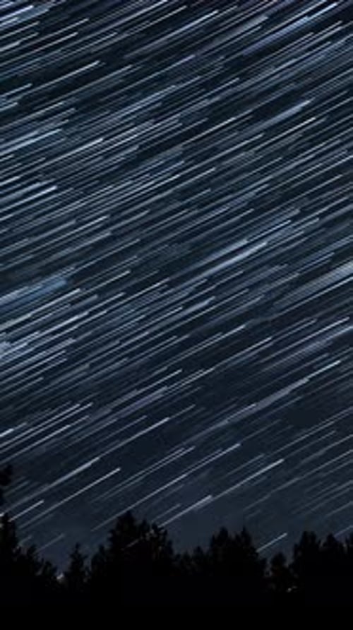 Hypnotic Star Trails Over Forest at Night
