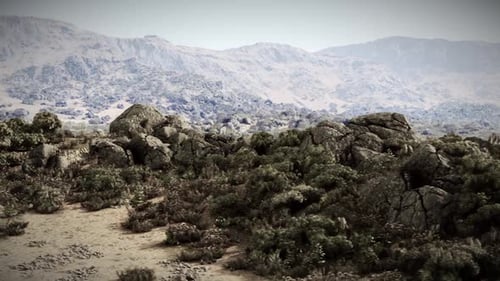 Rocky Terrain with Sparse Vegetation Near Mountain Range in Bright Daylight