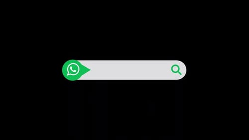 Animated Social Media Search Bar with WhatsApp Icon