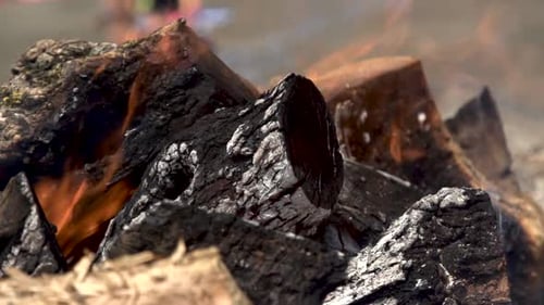 Slow Motion of Firewood Burning at the Beach