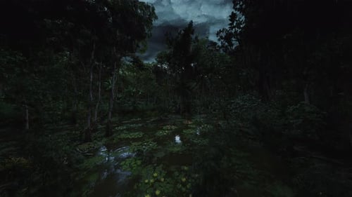 Dark Mystical Forest Swamp Nature Environment Background