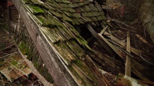 Slow dolly up of a collapsed abandonded building on the grounds of an insane asylum, moss covered sh