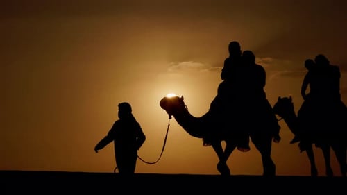 Camel riding in the desert of Dubai