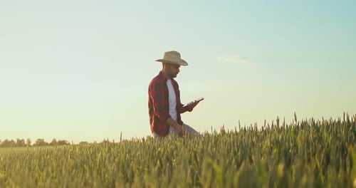 Full Length View of the Male Farmer Expert Browsing Tablet Computer Applications While Examining