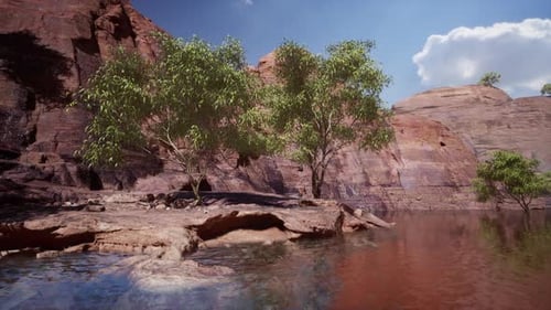 Colorado River with Gorgeous Sandstone Walls and Canyons