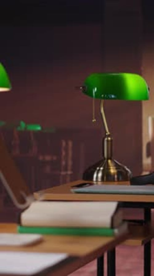 Vertical Video Empty Heritage Library Filled with Vintage Decorations and Refined Wooden Desks