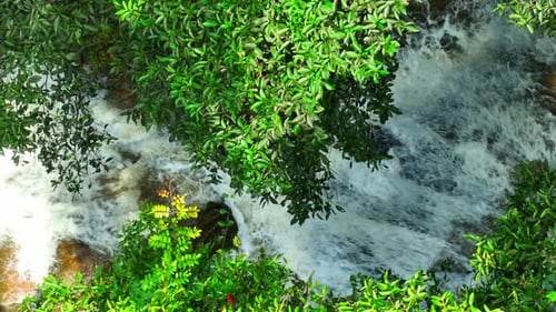 Lush Tropical Waterfall Aerial View