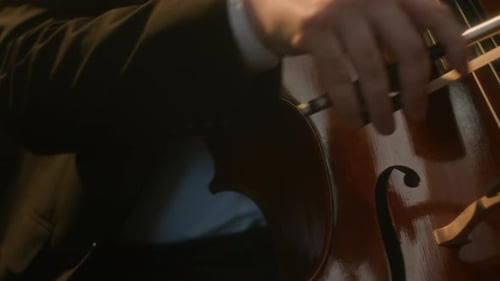 Trio of Musicians Playing String Instruments