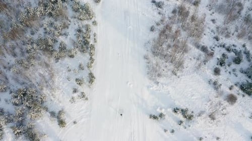 Young Man Walking in the Forest on a Cold Winter Day Drone Shot From Above