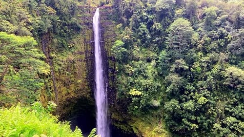 Akaka Falls State Park, Big Island Hawaii, in Summer 2024