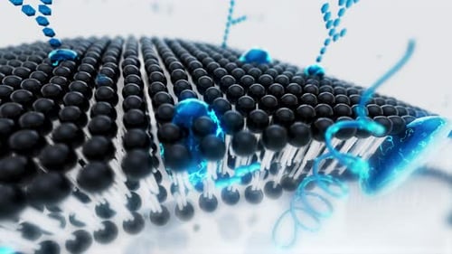 3D Animation of Cell Membrane Interactions and Medical Science