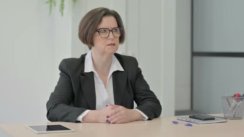 Businesswoman Gesturing While Explaining at the Desk