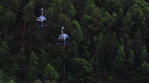 Aerial Cable Car Gondolas Over Forested Hillside in Funchal Madeira