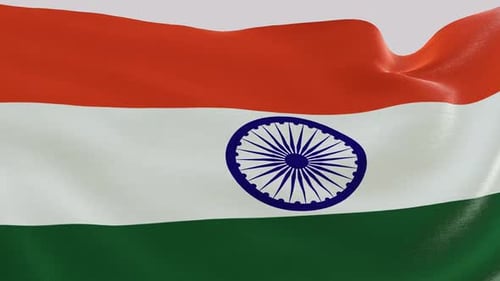 Realistic Waving Indian Flag Seamless Loop