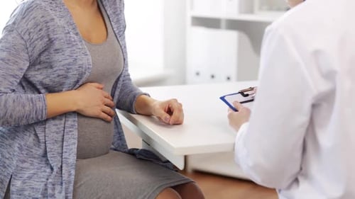 Pregnant Woman Talking with Healthcare Professional in Clinic