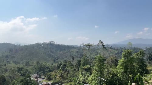 natural mountain forest