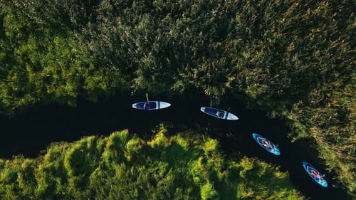 Athletes Riding Paddleboards in Curve Narrow Channel Between Grassy Fields