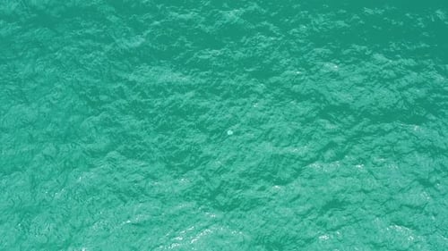 Medusa única em águas claras do litoral oceânico, vista aérea