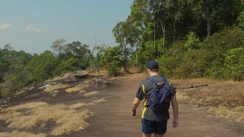 Man Hiking on Trail Through Forest Exploring Nature and Enjoying