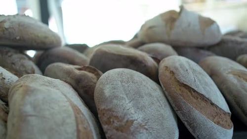 travelling close up of a big amount of fresh bake loaf bread