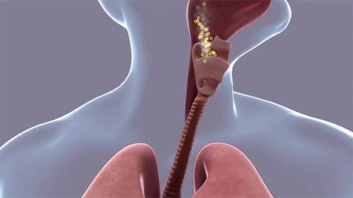 Medical Animation: Respiratory System and Particle Flow